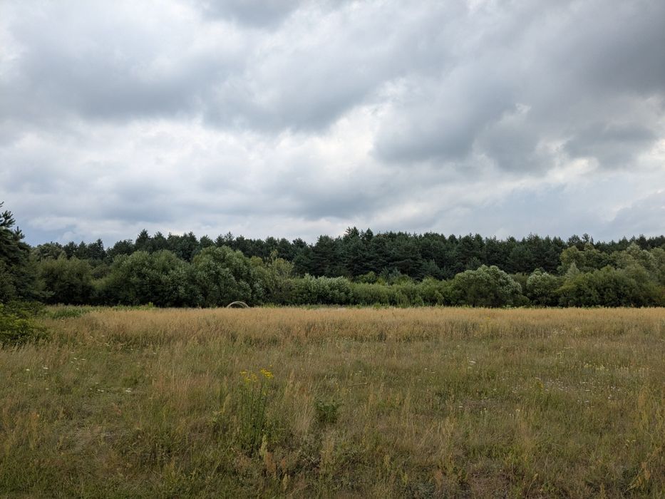Земельна ділянка 72 сот яворів