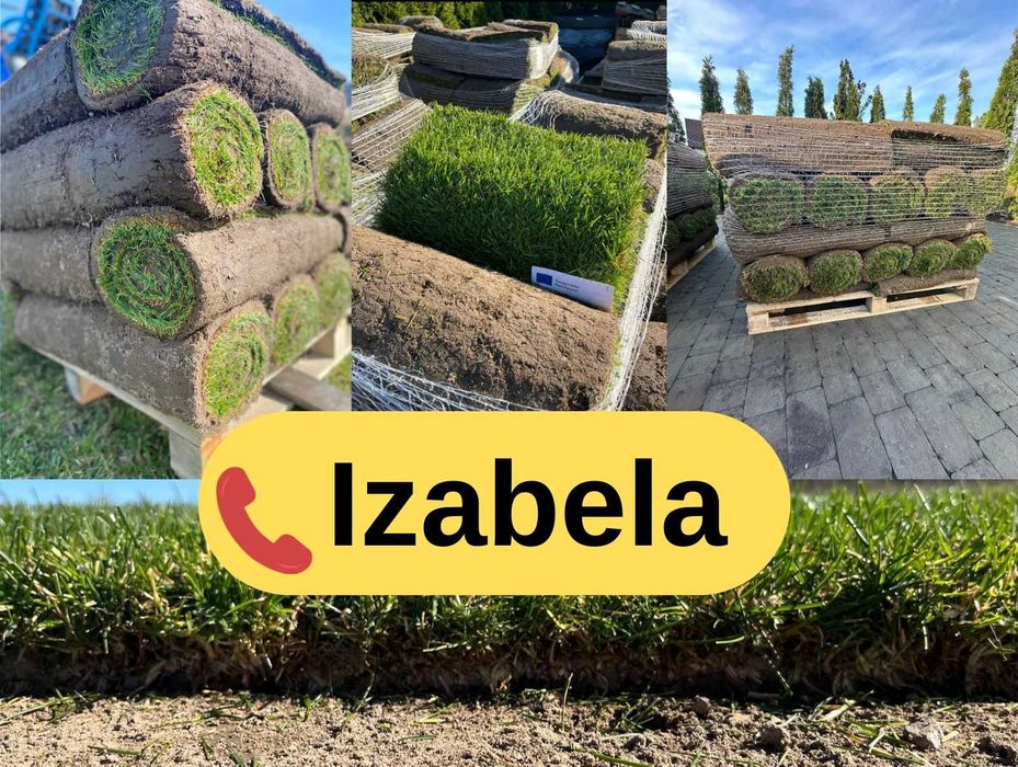 Trawa z rolki PREMIUM 1 gatunek | Szybka dostawa | PRODUCENT