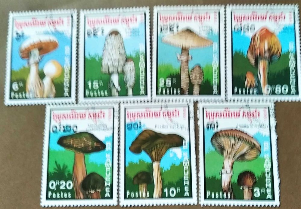 Znaczki pocztowe tematyczne - grzyby