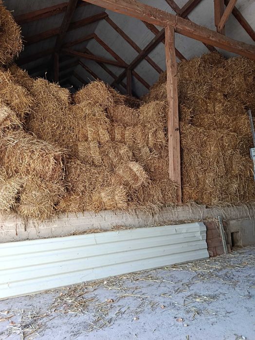 Sprzedam słomę w kostkach