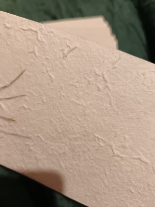 10x Envelope em Papel Vivo com flores naturais