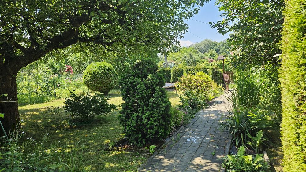 Ogródek Działkowy ROD Wapieniczanka - Widok 3