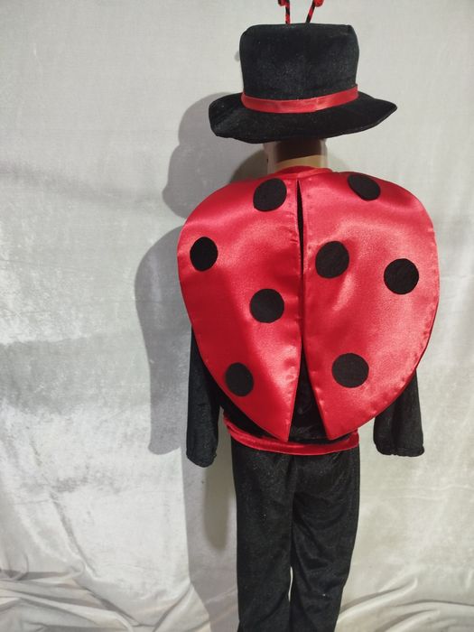 Костюм Божа корівка для хлопчиків