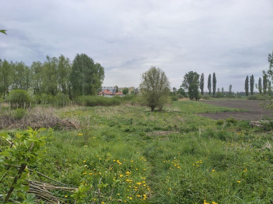 Приватизована земельна ділянка під будівництво на заселеній вулиці с.Пашківці