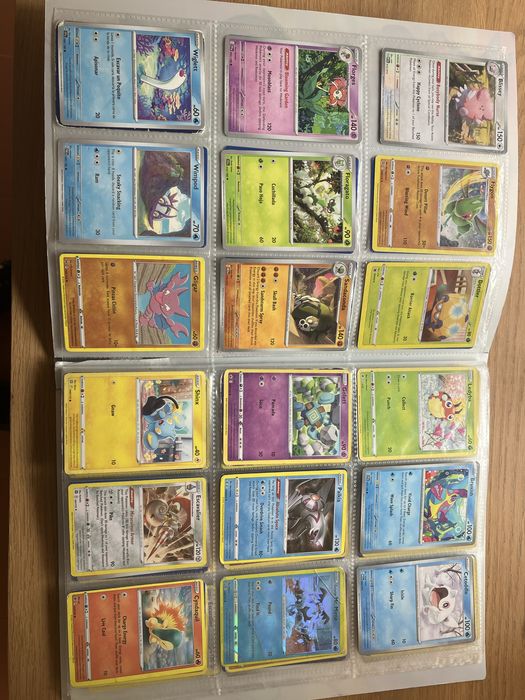 Álbum de Cartas Pokemon