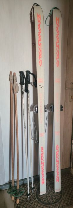 Лыжи Dynastar Viridium(Франція)