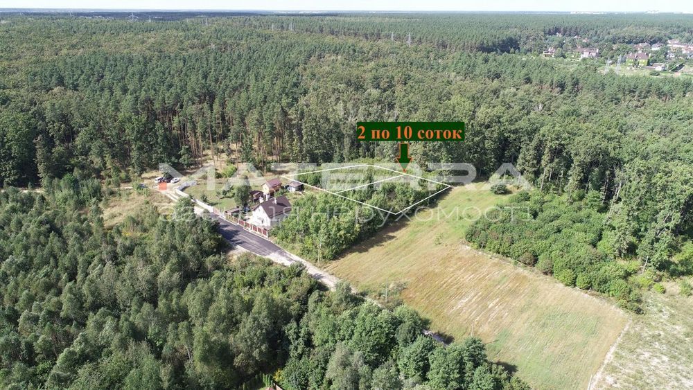 Стоянка продаж кутової ділянки 10 соток в оточенні лісу - Вид 5