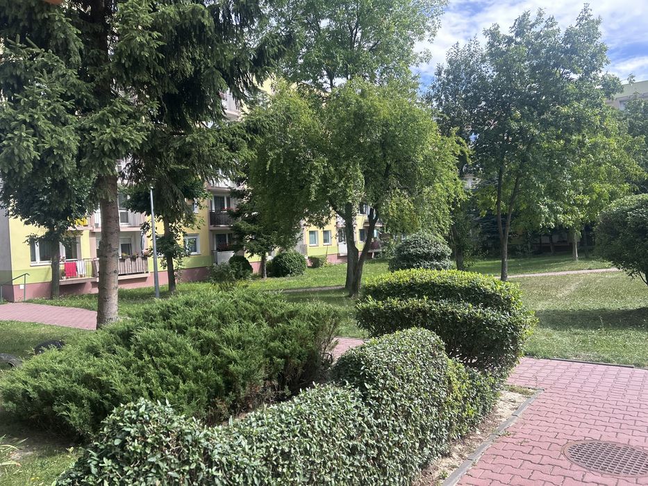 Zdjęcie 8