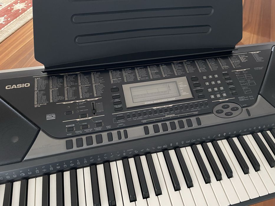 Orgão CASIO CTK-811 EX