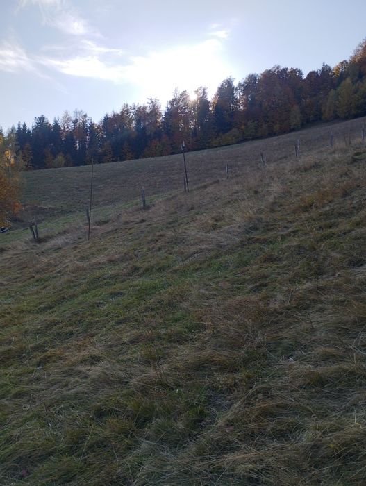 Sprzedam działkę budowlaną