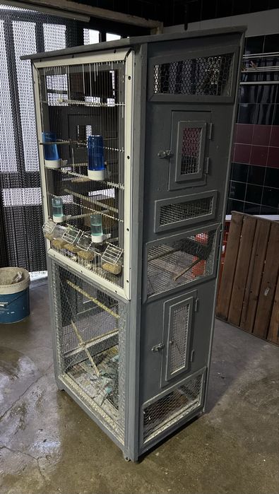 Gaiola com 20 periquitos