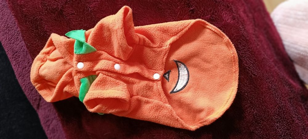 Camisola de cão tamanho M Halloween . Usado uma vez