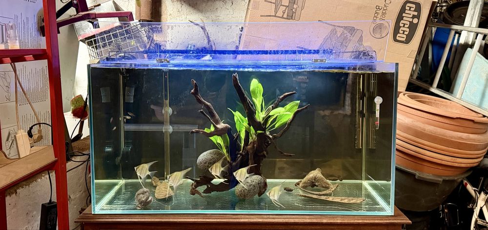 Aquário 250 Litros Equipado