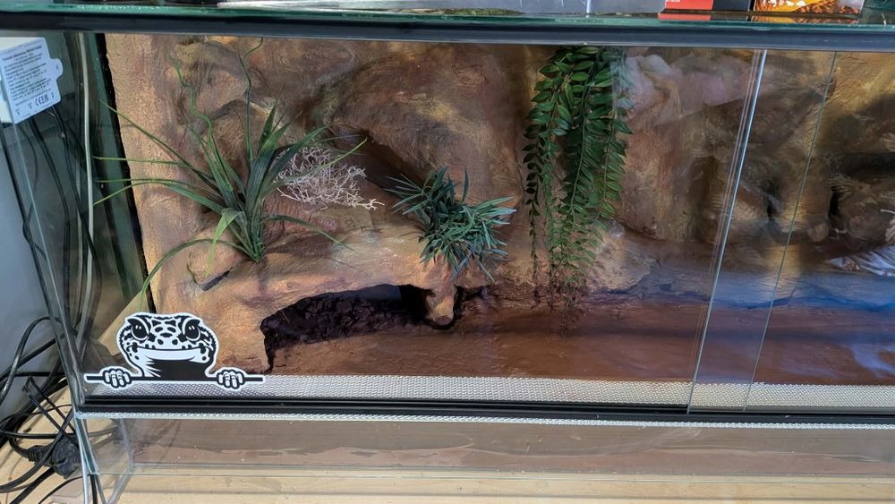 Terrarium 100x40x40 cm z tłem strukturalnym i jaskinią + glina i akcesoria