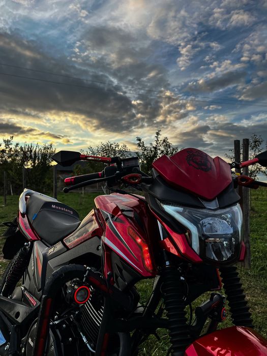 Мустанг регіон фортуна 150