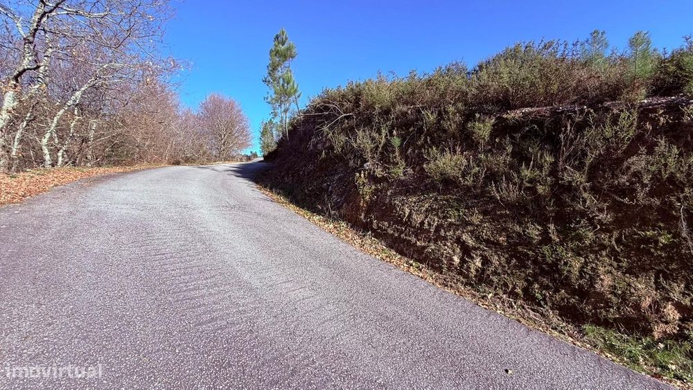 Terreno em Veade, Gagos e Molares