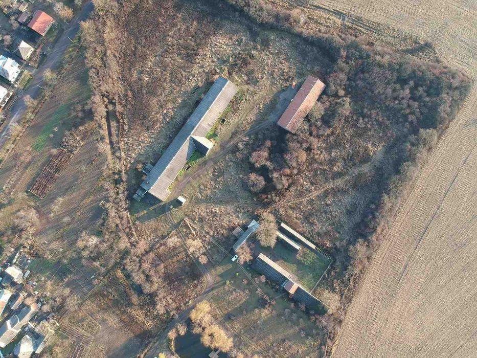 Свиноферма 2200 м2