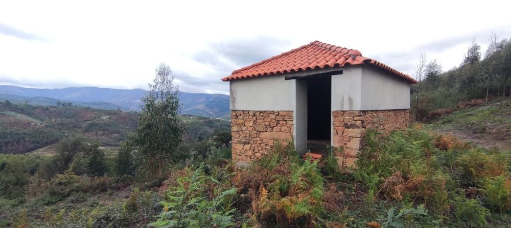 Terreno com 17.000m² e Ruína em Vinho – Vila Cova de Alva, Arganil