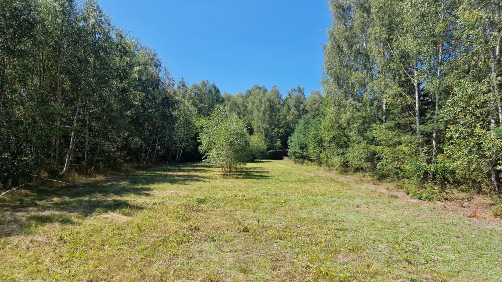 Działka rolno-leśna z warunkami zabudowy – Poddębowiec