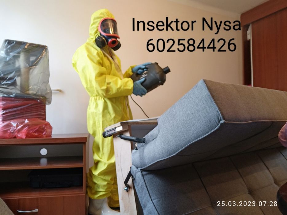 Dezynsekcja pluskwy, prusaki- Nysa