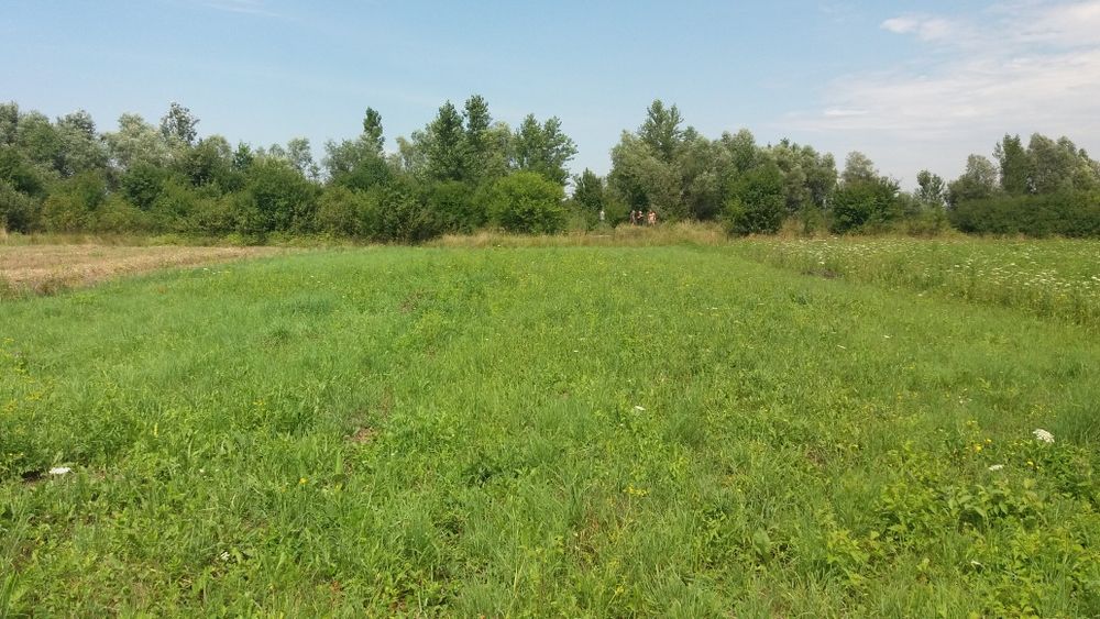 Земельна ділянка 0.25 сот