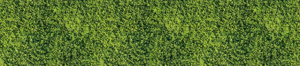TELA PARA-VENTO, VEDAÇÃO, OCULTAÇÃO MICROPERFURADA A MEDIDA