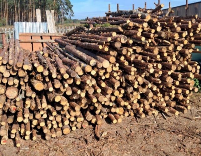 Drewno Opałowe-Kominkowe sprzedam