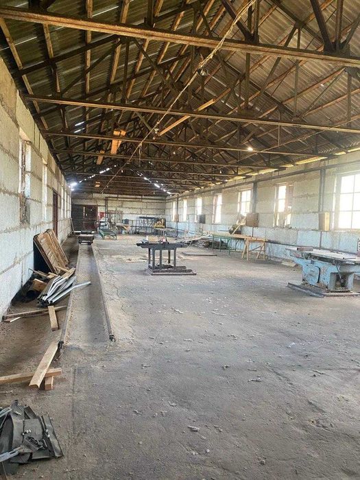 Деревообробне господарство в 50 км від Києва