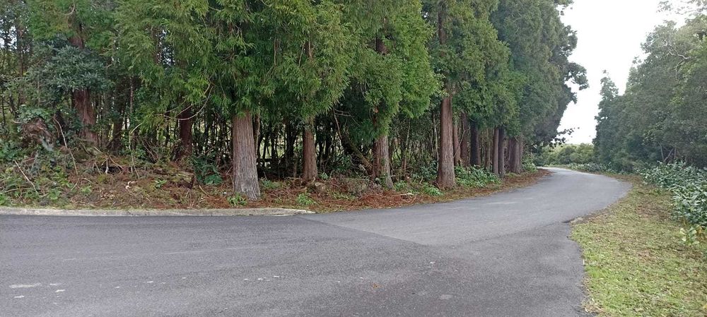Terreno rústico 1,068 ha com acesso alcatroado — São João, Pico