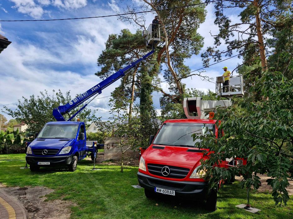 Wycinka drzew, czyszczenie działek, mulczowanie, rozdrabnianie gałęzi