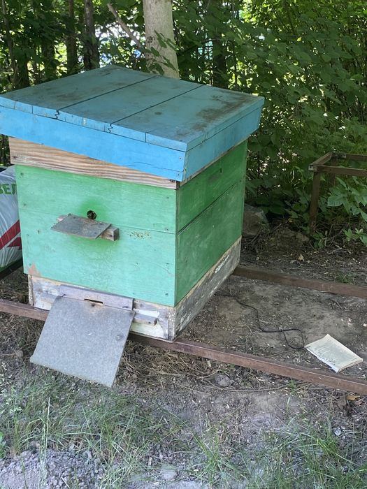 Продаж пасіки, карніка