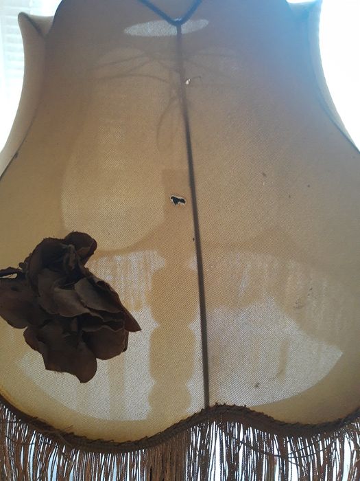 Sprzedam stojąca lampę