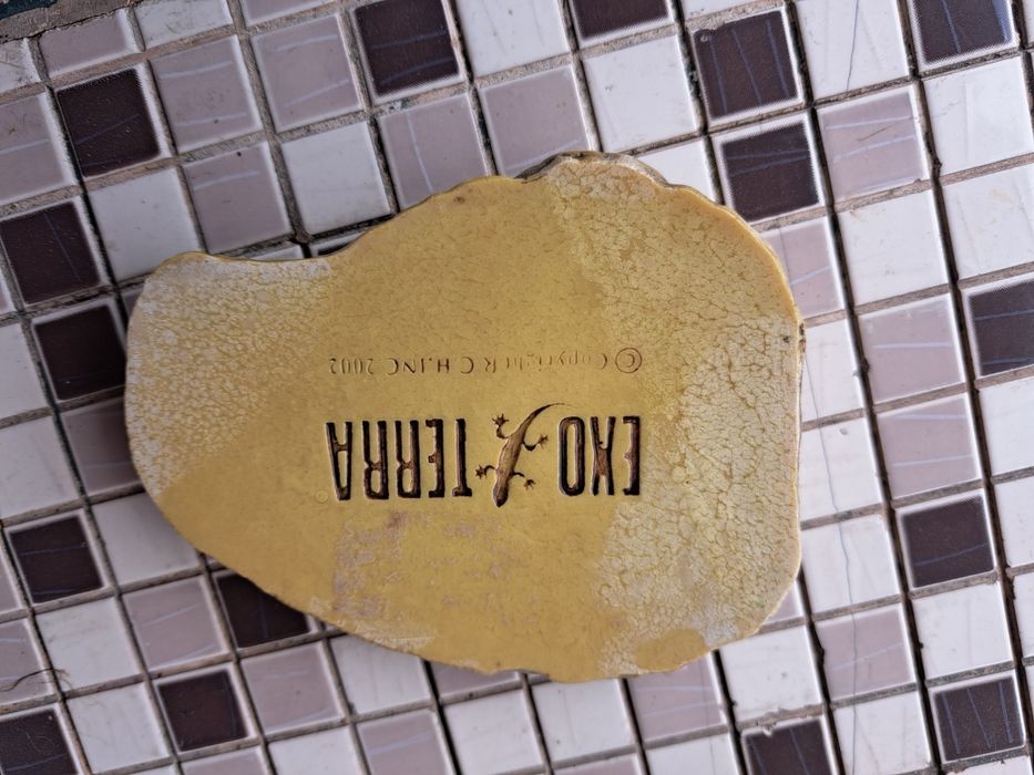 Comedouro para répteis