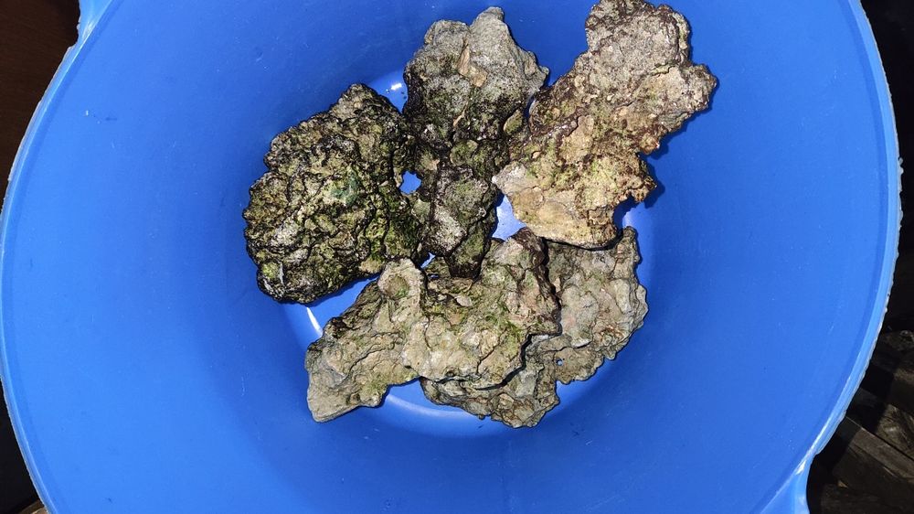 Rocha e areia Sansibar