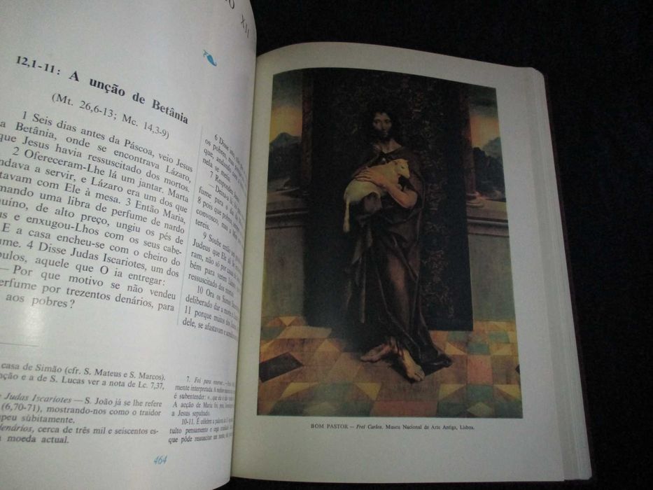Livros Bíblia Ilustrada Novo Testamento 1957
