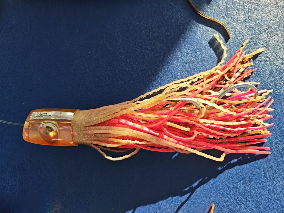 Amostras pesca curricar atum espadarte ....