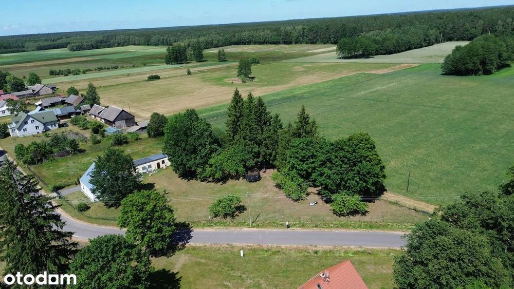 Werstok w Prawdzowej Puszczy Bialowieskiej. Podlasie