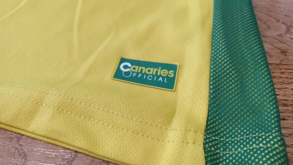 Norwich City 2016-17