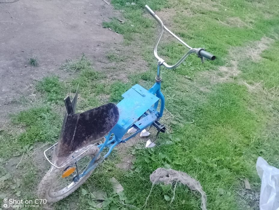 Плужок підгоритат