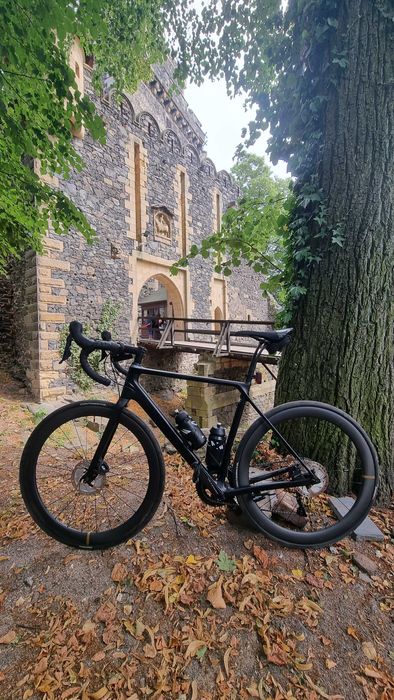 CANYON Endurace CF SL 8.0 Disc rozmiar M