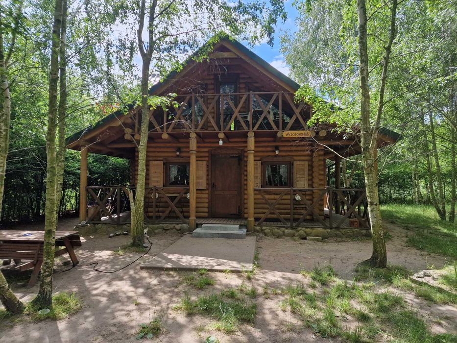 domek nad morzem, blisko lasu