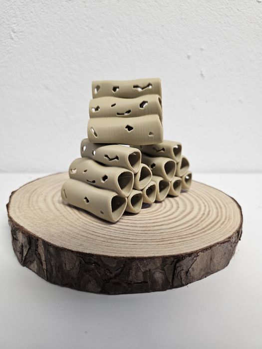 Toca para caridinas e neocaridinas