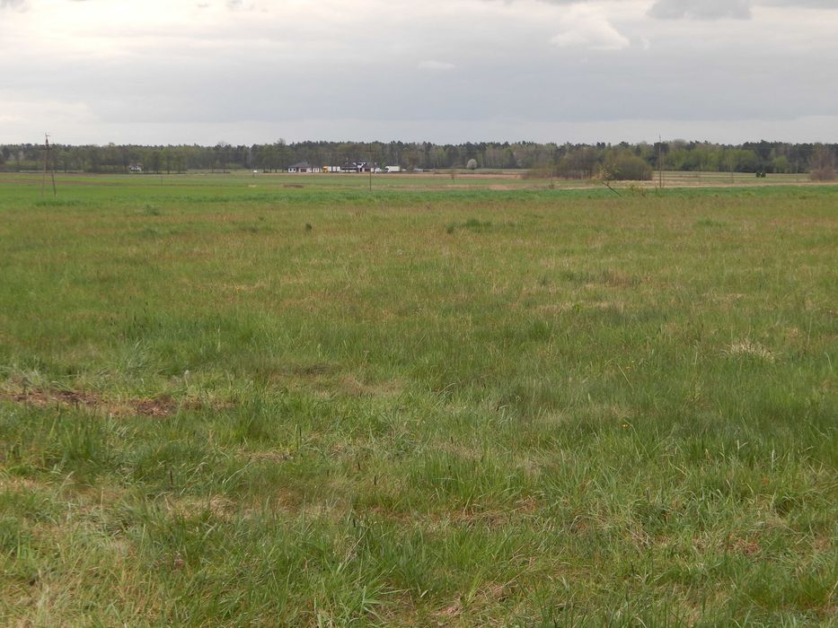 Działka Rekreacyjno - Budowlana (prąd, gaz )  1500 m2 W.Z.