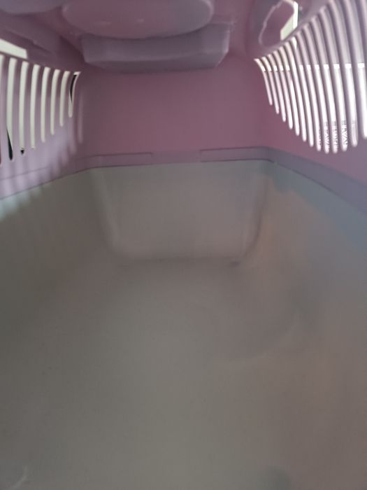 Transporte de animais