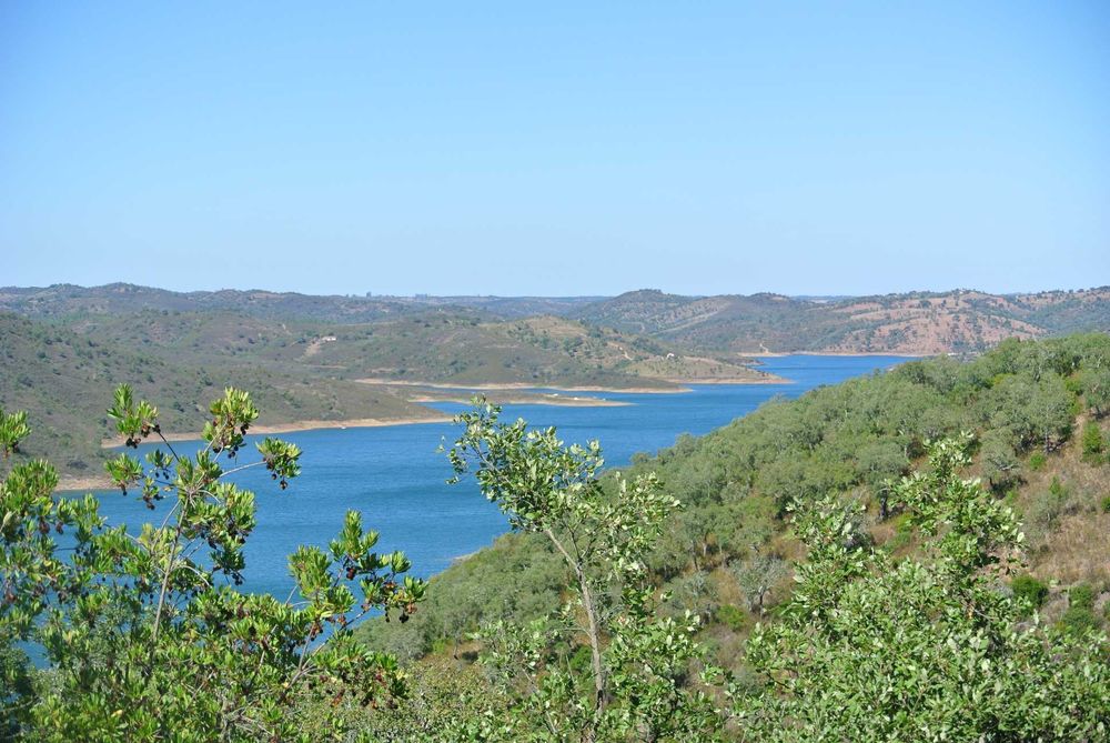 Terreno (Property) 24 Hect . Cortiça (Cork). Bx Alentejo. Algarve