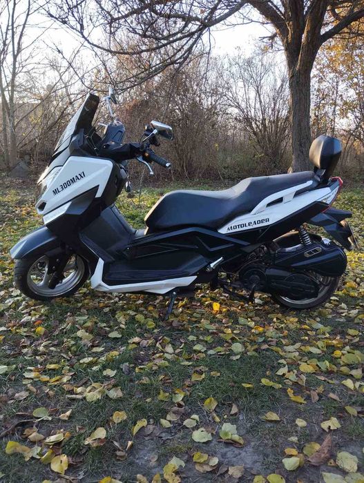 Leader ML 300maxi 2019