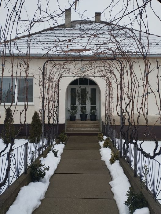 Продам дом Закарпатье Боржава