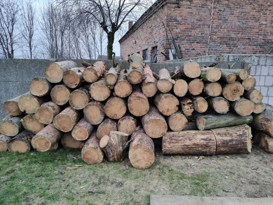 Drewno Opałowe Sosna , Dąb