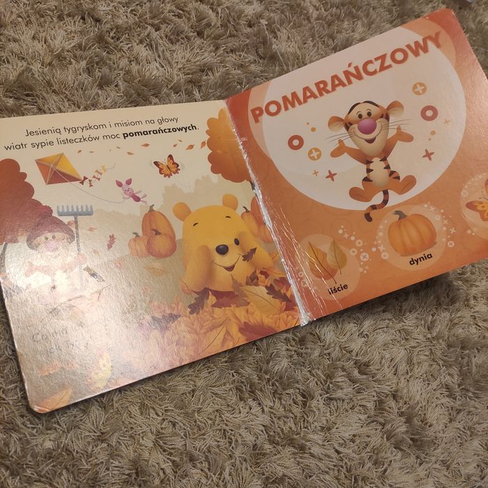 Disney ksiażeczki 0-2 i 2+