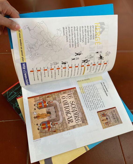 Banda desenhada Tintim 2000